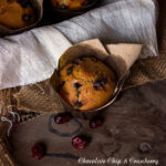 Eggless Chocolate Chip Cranberry Muffins