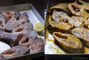 First and Second Marination